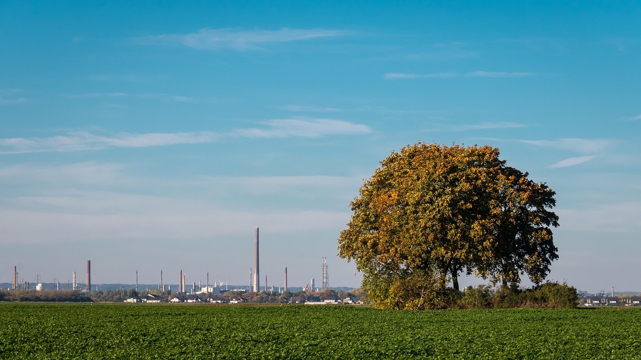 Environmental Services